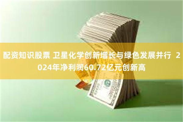 配资知识股票 卫星化学创新增长与绿色发展并行  2024年净利润60.72亿元创新高