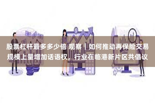 股票杠杆最多多少倍 观察｜如何推动再保险交易规模上量增加话语权，行业在临港新片区共倡议