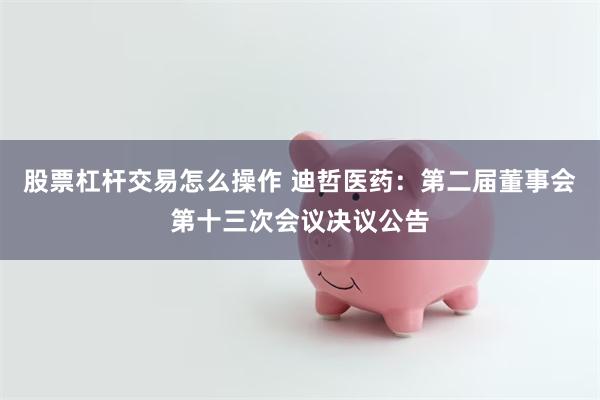 股票杠杆交易怎么操作 迪哲医药：第二届董事会第十三次会议决议公告