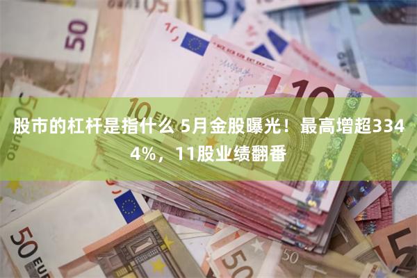 股市的杠杆是指什么 5月金股曝光！最高增超3344%，11股业绩翻番