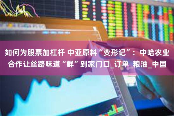 如何为股票加杠杆 中亚原料“变形记”：中哈农业合作让丝路味道“鲜”到家门口_订单_粮油_中国