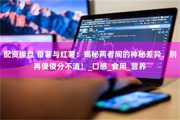 配资操盘 番薯与红薯：揭秘两者间的神秘差异，别再傻傻分不清！_口感_食用_营养